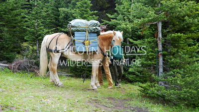 Pack Horse Trips
